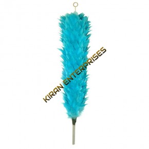 Palm/Feather